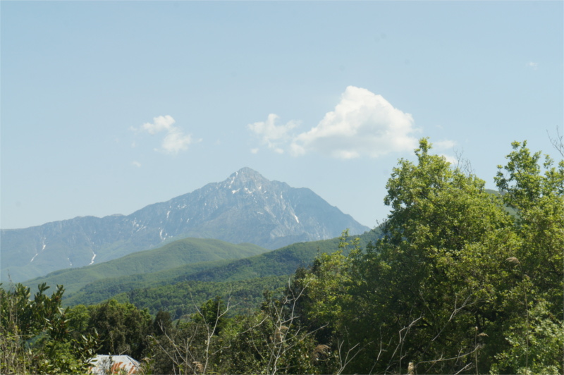 Slider Banner